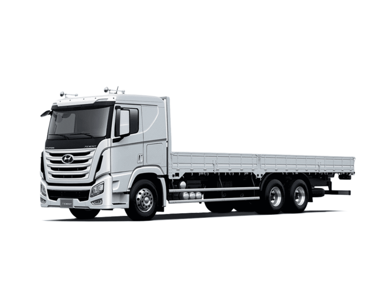 Hyundai XCIENT Cargo 20 Ton Payload