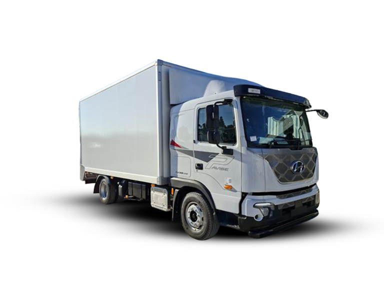 Hyundai Pavise Dry Van (25M³)