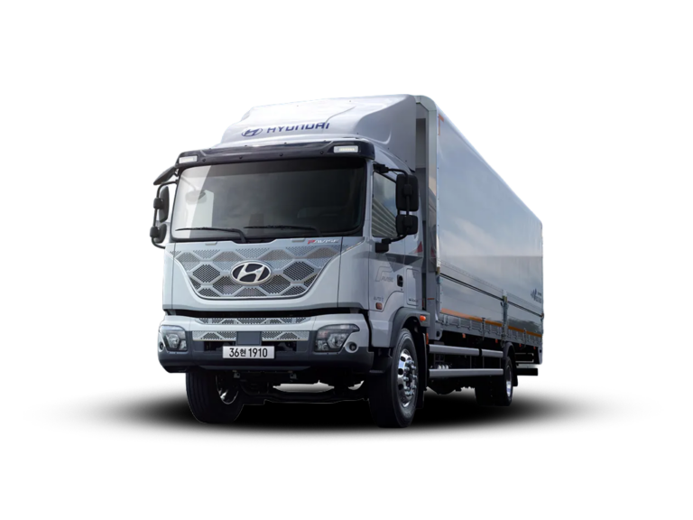 Hyundai Pavise Refrigerated Van (23