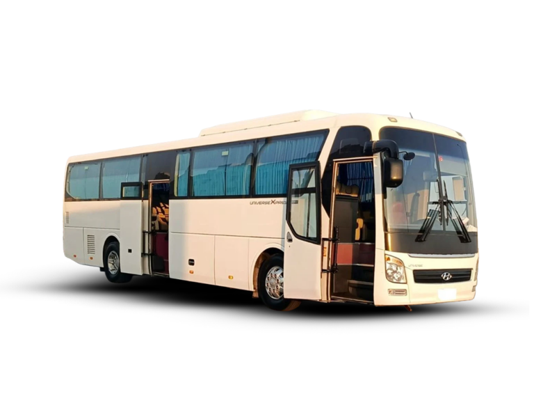 Hyundai Universe Classic (45+1) Double Door